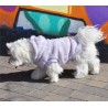 SUDADERA CAPUCHA CORAZON LILA 45CM D