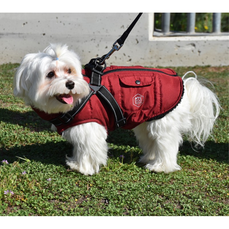 CHAQUETA CON ARNES GRANATE 30CM D