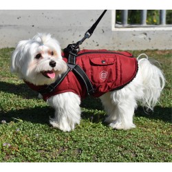 CHAQUETA CON ARNES GRANATE 45CM D
