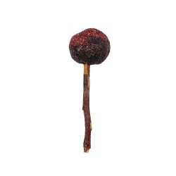 WOODCHUCK LOLLY GROSELLA, FRANBUESA, MANZANA 30gr