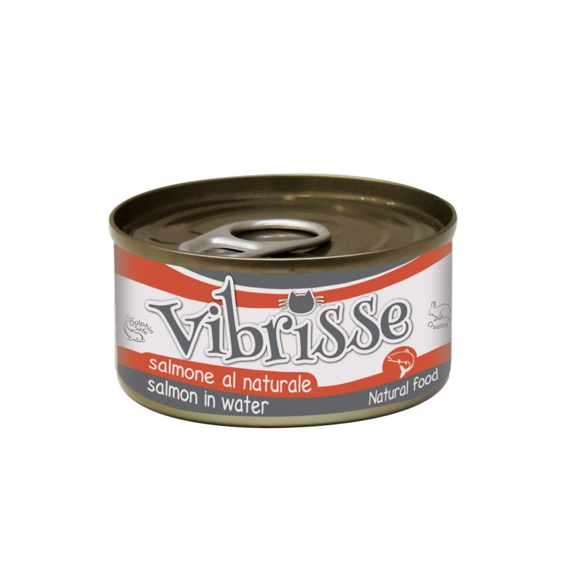 VIBRISSE CAT SALMON NATURAL 70GR. (24 uds/caja)