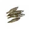 FRESH NATURALS PESCADITOS TIRAS DE PESCADO 100gr (10uds/caja)