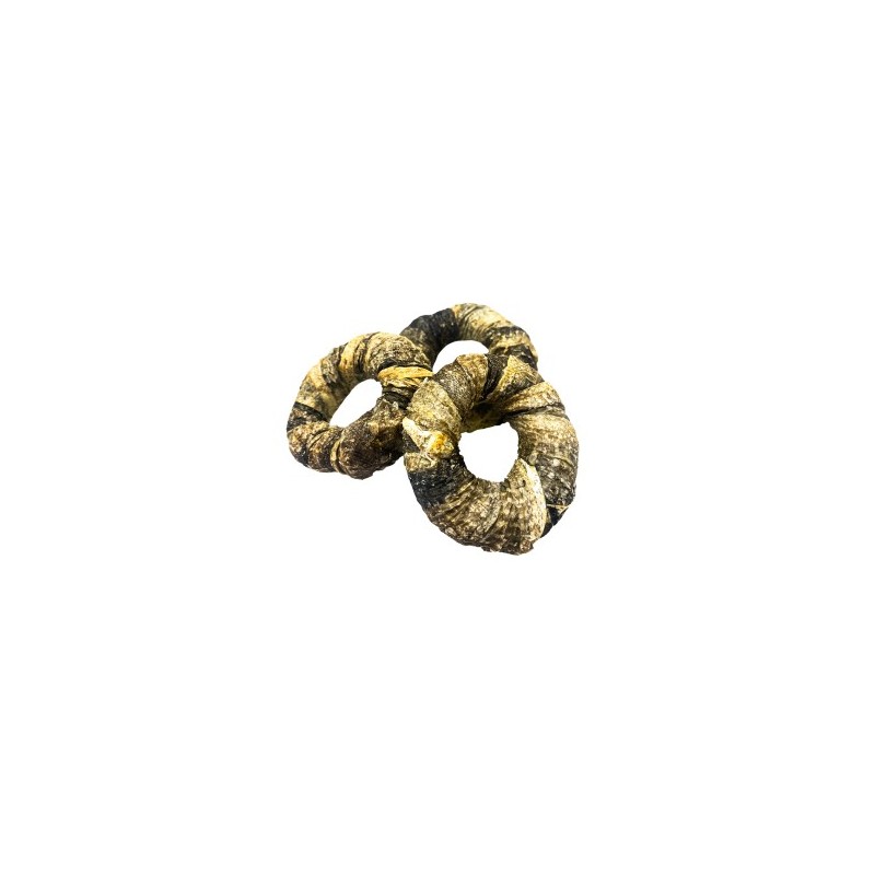 FRESH RAW ANILLO DE PESCADO (bacalao) BOLSA 7cm 300gr