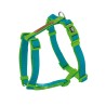 X-TRM DOBLE PREM ARNES TURQUESA-VERDE 1,5x35-60 D.