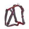 X-TRM DOBLE PREM ARNES GRIS-GRANATE 2,5x60-100 D.