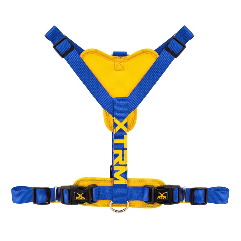 ARNES X-TRM CRONOS NEON FLASH COBALTO  15mm x 35-60cm
