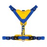 ARNES X-TRM CRONOS NEON FLASH COBALTO  15mm x 35-60cm