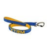 CORREA X-TRM NEON FLASH COBALTO 15mm X 120cm