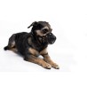 LEO PET  BOZAL TALLA XXS COLOR NEGRO C Ø 18 CM/ 4 CM