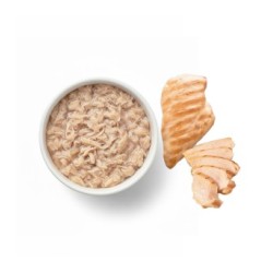 ZENCAT TENDER CHICKEN  70gr. (caja/ 24 uds)