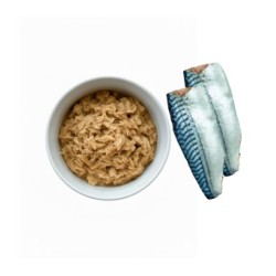 ZENCAT TENDER MACKEREL (caballa) 70gr. (caja/ 24 uds)