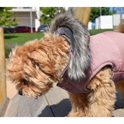 CHAQUETA CON CAPUCHA CANADA ROSA 30CM D