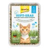 HIERBA TIERNA SOFT-GRAS SAN DIMAS 100gr