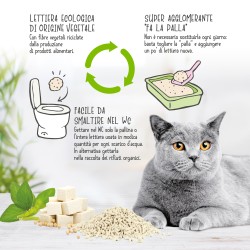Arena para gatos CAT&RINA BENATURAL TOFU 2450 G 5,5 L CLÁSICA