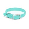 COLLAR PARA PERRO RECORD PIEL AGUAMARINA XS 1.6X20-30 CM