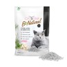 Arena para gatos CAT&RINA BENATURAL TOFU 2450 G 5,5 L CARBON ACTIVO