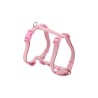 ARNES BASIC EN H ROSA 20mm x 46-75cm