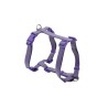 ARNES BASIC EN H LILA 25mm x 71-98cm