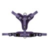 ARNES NEOPRENO CRONOS LILA 15mm x 35-60cm