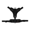 ARNES NEOPRENO CRONOS NEGRO 20mm x 46-75cm