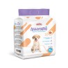 RECORD ASSORBIPIU 10 EMPAPADORES ABSORBENTES 60X90 CM FRUTA