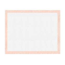 RECORD ASSORBIPIU 10 EMPAPADORES ABSORBENTES 60X90 CM FRUTA