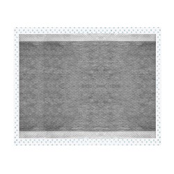 RECORD ABSORBIPUIU 10 EMPAPADORES 60X90cm CARBON ACTIVO