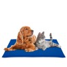 COOL PAD AZUL 90x50cm
