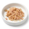 ZEN LUX CAT JELLY (gelatina) POLLO Y ATUN 70gr. (caja/ 24 uds)