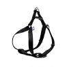 ARNES BASIC RECORD NYLON NEGRO 1X30-40CM - S