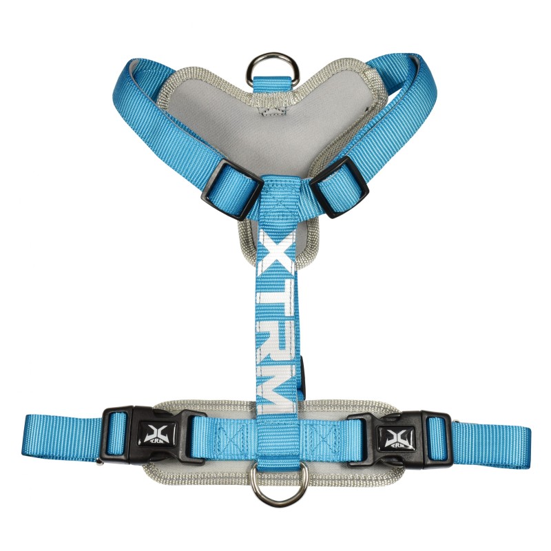 ARNES X-TRM CRONOS NEON FLASH AZUL 15mm x 35-60cm