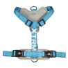 ARNES X-TRM CRONOS NEON FLASH AZUL 15mm x 35-60cm