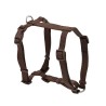 ARNES BASIC EN H MARRON 10mm x 23-37cm