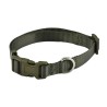 COLLAR BASIC VERDE 10mm x 20-30cm