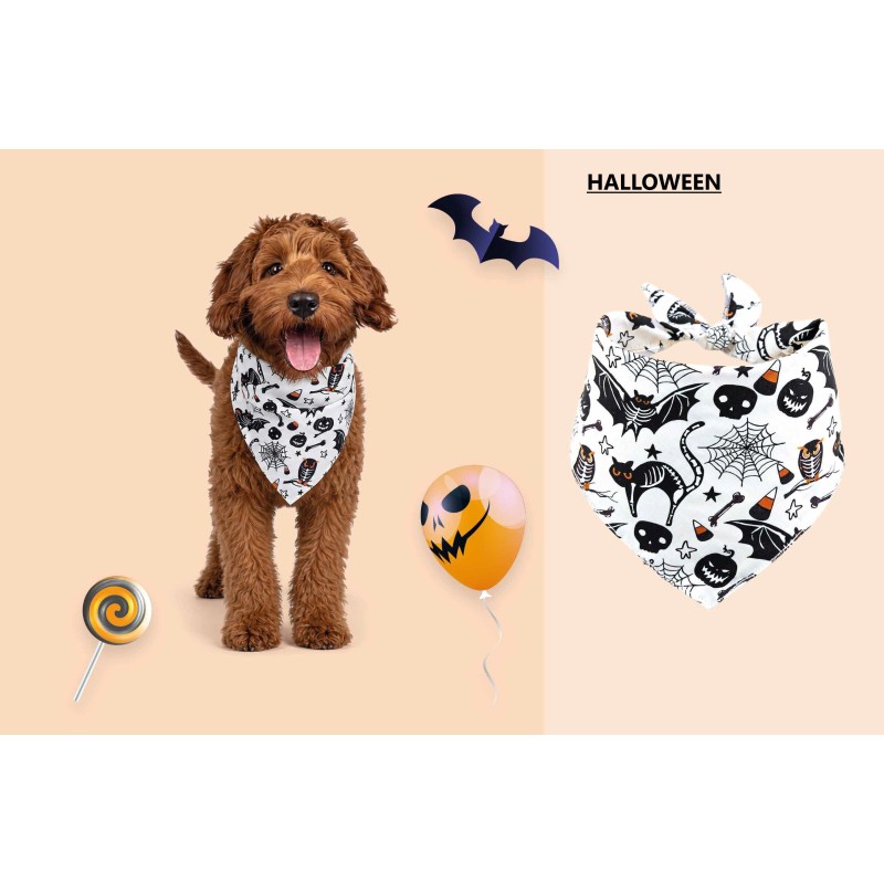 BANDANA HALLOWEEN PARTY