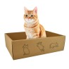 RASCADOR CARTON CON CINCO RECAMBIOS Y CATNIP 42x29x12 cm