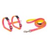 ARNES Y CORREA GATO X-TRM NEON FUCSIA 10x27-45cm - 10x300cm