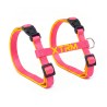 ARNES Y CORREA GATO X-TRM NEON FUCSIA 10x27-45cm - 10x300cm