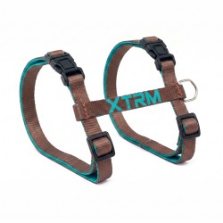 ARNES Y CORREA GATO X-TRM NEON MARRON 10x27-45cm - 10x300cm