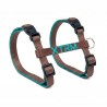 ARNES Y CORREA GATO X-TRM NEON MARRON 10x27-45cm - 10x300cm