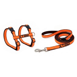 ARNES Y CORREA GATO X-TRM NEON NARANJA 10x27-45cm - 10x300cm