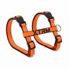 ARNES Y CORREA GATO X-TRM NEON NARANJA 10x27-45cm - 10x300cm