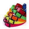 LEO PET  COLLAR REFLECTANTE BIOTHENE 2X50cm VERDE
